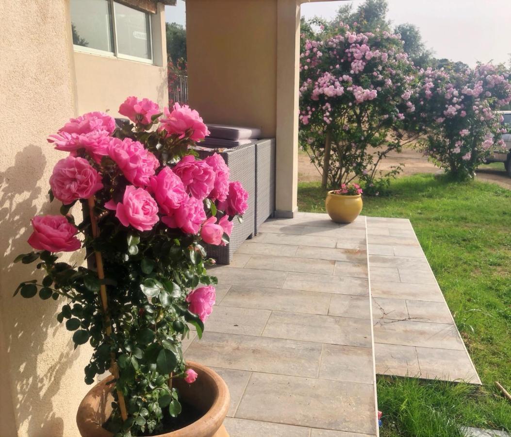 Residence Itylon Cargese Ngoại thất bức ảnh
